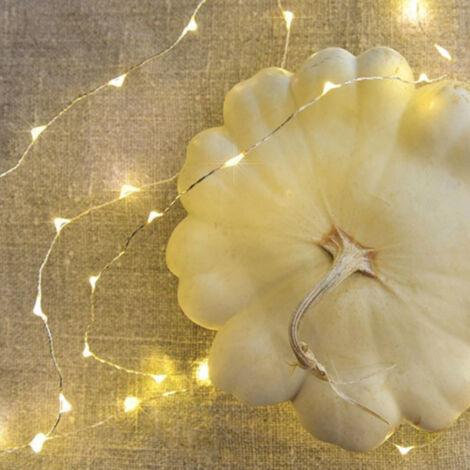 Guirlande Micro Led 7.5m Animée Blanc Chaud (1/4)