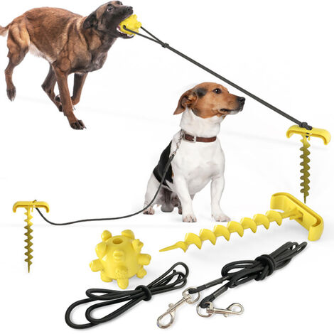 Chien Stake Tie Out Cable Pieu Robuste Avec Chien Chew Balle Chien 