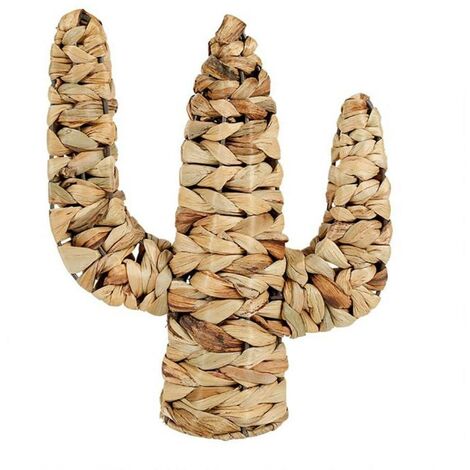 Cactus rotin naturel (1/3)