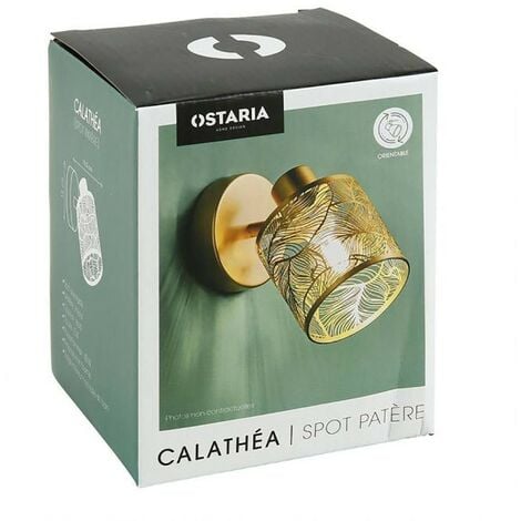 Applique spot orientable Calathéa doré
