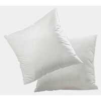 Lot de 2 oreillers microfibre 60x60 cm