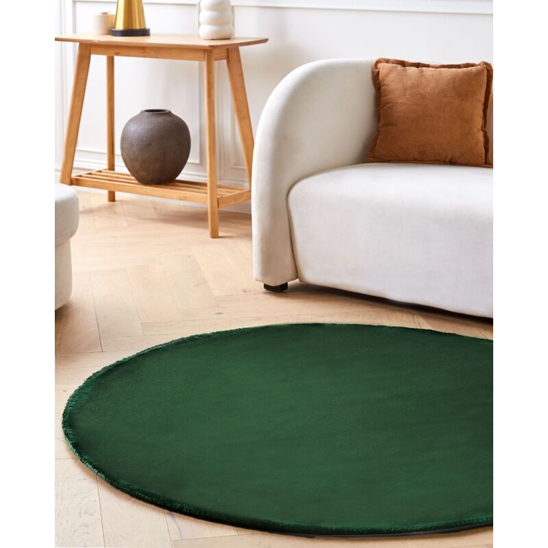 ZZBBZZ-YJ Tapis de Zone contemporaine Tapis Rond pour Salon Chambre ou  Cuisine, Blanc/Vert - 80cm 100cm 120cm 140cm 160cm 180cm 200cm (Size :  Diamètre 200cm) : : Cuisine et Maison