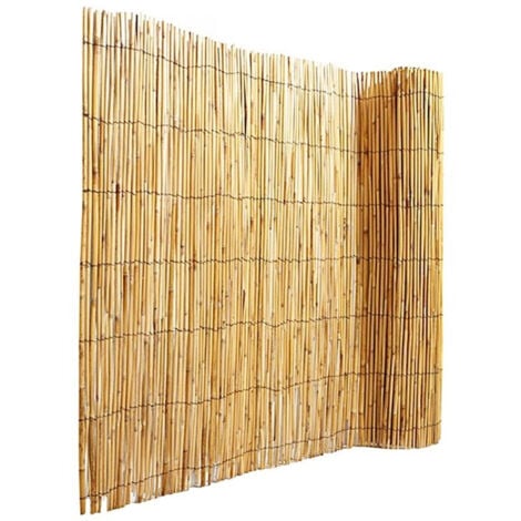 Canisse en tiges de roseaux naturels (pelés) - 1,5 x 5 m
