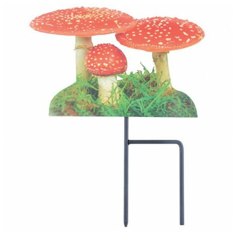 Amanite tue-mouches à planter (1/3)