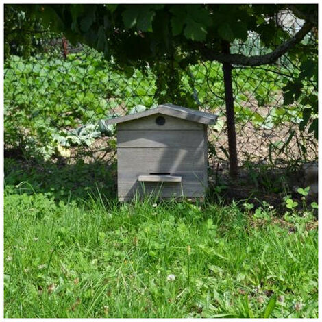 Ruche Rustique 37 cm en bois 5 cadres