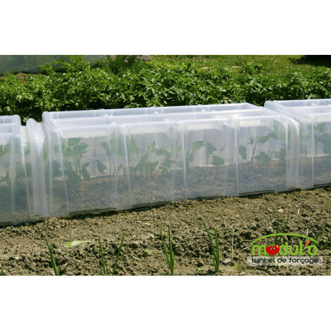 Tunnel de forçage 105x39x30cm – Bac intégré pour récupération d'eau – Compatible avec divers types de cultures – Installation facile – Mv Industrie