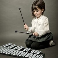 Xilófono con 30 Notas Percusión de Mano con Mazo Estuche, Percusión para Niños y Adultos