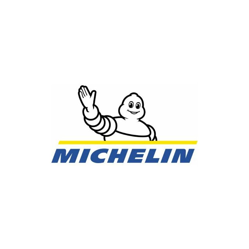 Compresseur de loisirs MICHELIN 6 l 0.5 cv MBL 6 K6
