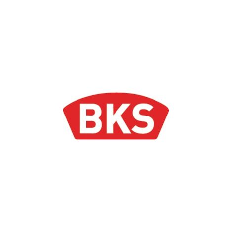 ZT-Einsteckschl.0215 BAD 20/ 55/20/8mm DIN L silber ktg.Kl 1 Ku.