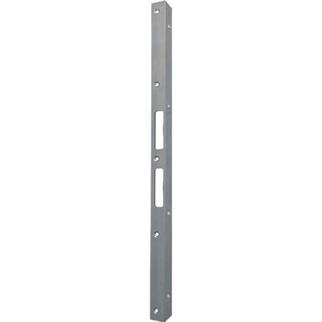 Schnegel Sicherheitswinkelschließblech L.500mm B.25mm S.3mm STA verz.006/650/V - 006/650 (1/5)
