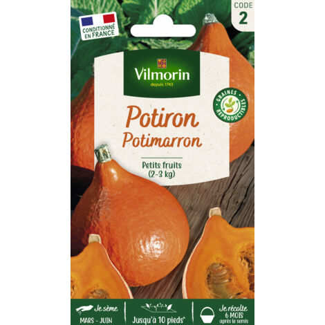 Potiron Potimarron Vilmorin (1/2)