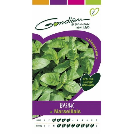 Gondian - Basilic Marseillais (1/3)