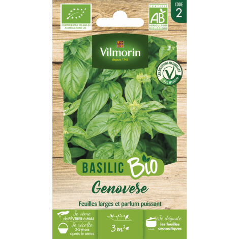 Vilmorin - Basilic Genovese Bio (1/2)
