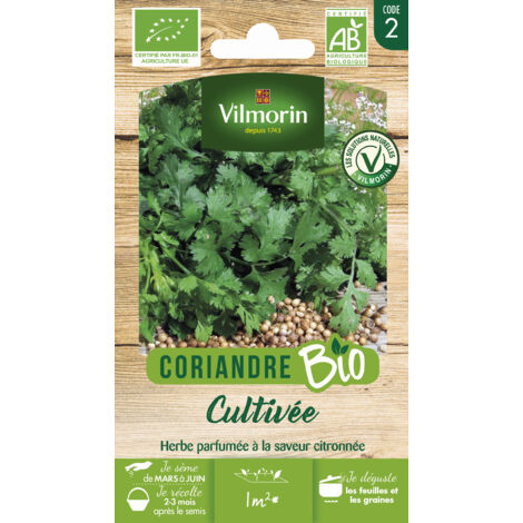 Vilmorin - Coriandre Cultivée Bio (1/2)