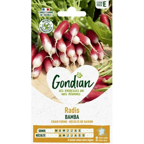 Gondian - Radis Bamba (1/2)