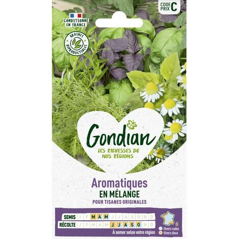 Gondian - Aromatiques en mélange (1/2)