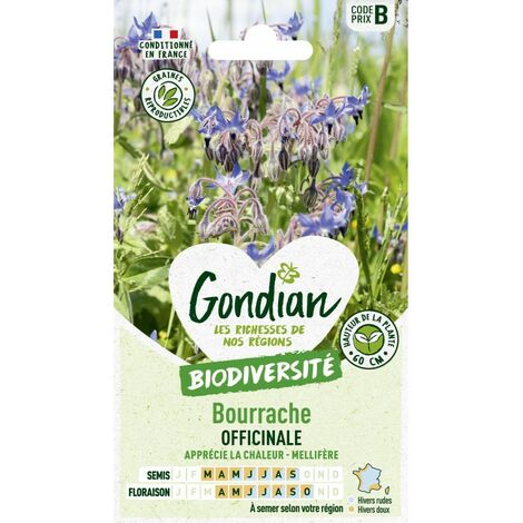 Gondian - Bourrache Officinal (1/2)