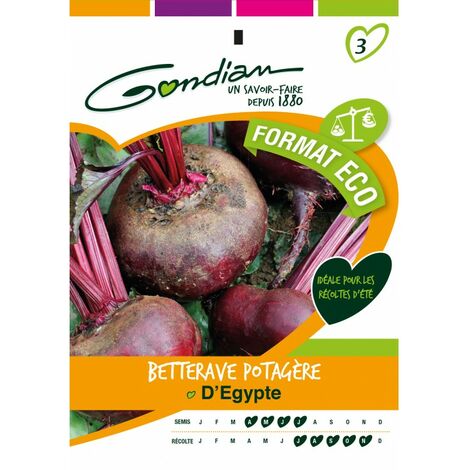 Gondian - Betterave Potagère D'égypte format eco