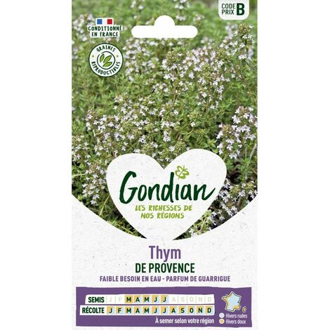 Gondian - thym de provence (1/2)