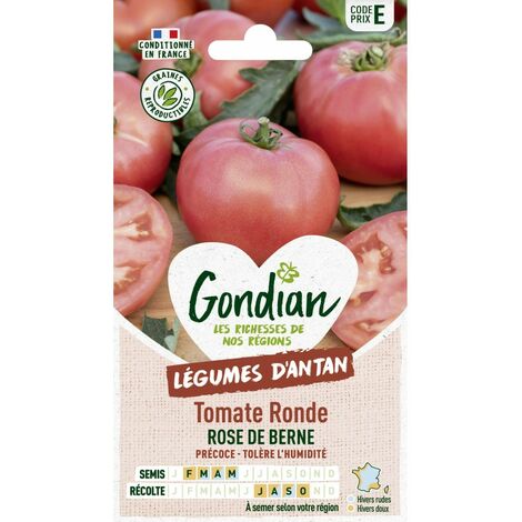 Gondian - Tomate Ronde Rose de berne (1/2)