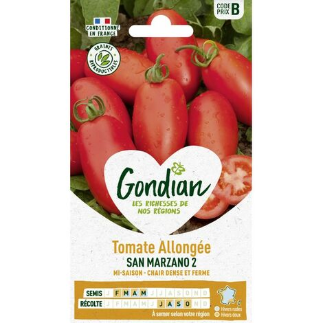 Gondian - Tomate Allongée San Marzano (1/2)