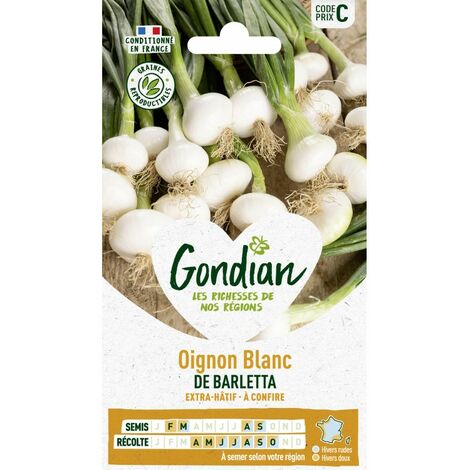 Gondian - oignon blanc de barletta