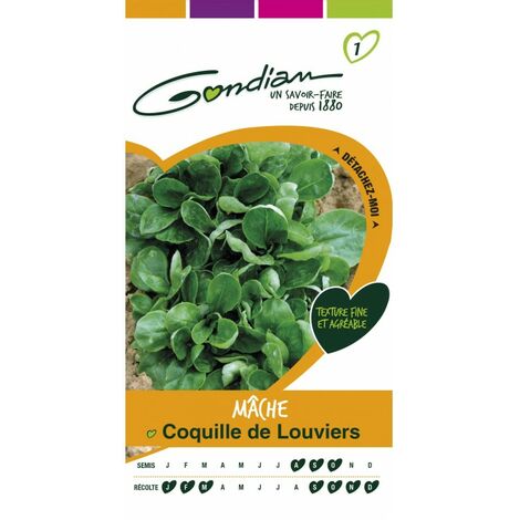Gondian - Mache Coquille de Louviers (1/3)