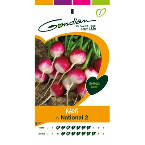 Gondian - Radis National 2 (1/3)