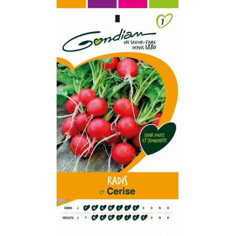 Gondian - Radis Cerise (1/3)