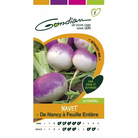 Gondian - Navet De Nancy a Feuille Entière (1/3)