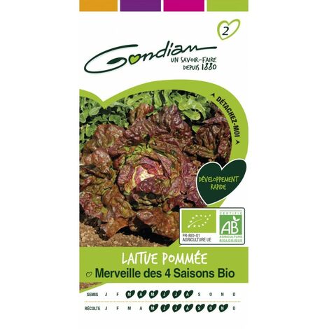Gondian - laitue pommée merveille des 4 saison bio (1/4)