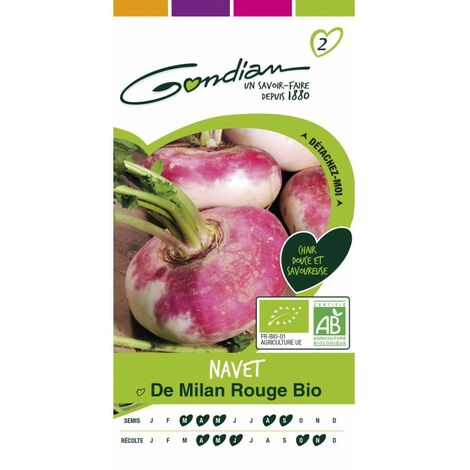 Gondian - navet de milan rouge bio (1/3)