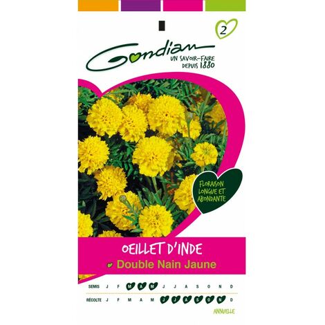 Gondian - œillet d'inde Double Nain Jaune (1/3)