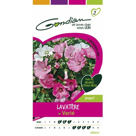 Gondian - Lavatère Varié (1/3)