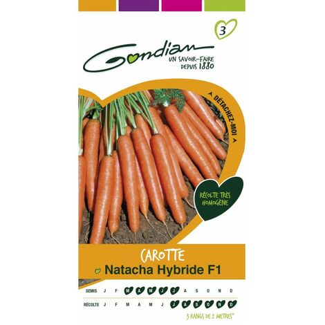 Gondian - Carotte Natacha Hybride F1 (1/3)