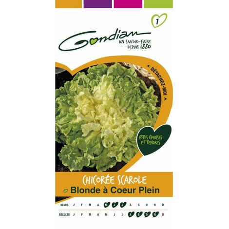 Gondian - Chicorée Scarole Blonde a Cœur Plein (1/3)