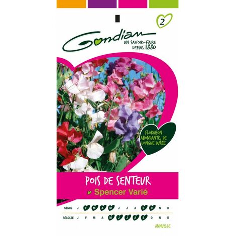 Gondian - Pois de senteur Spencer varié (1/3)