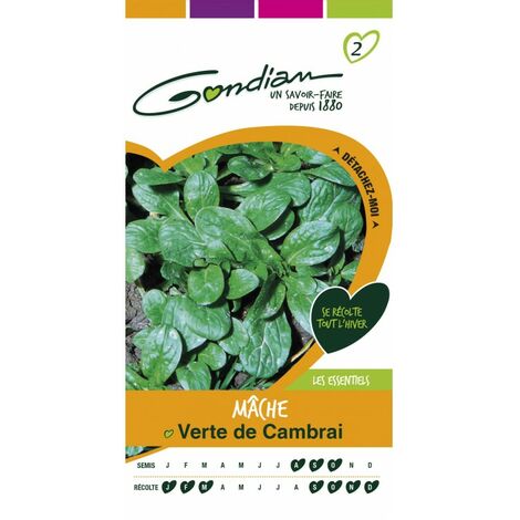 Gondian - Mache Verte de Cambrai (1/4)