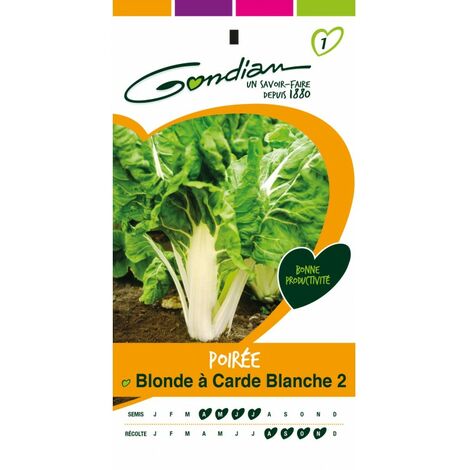 Gondian - Poirée Blonde a Carde Blanche 2 (1/3)