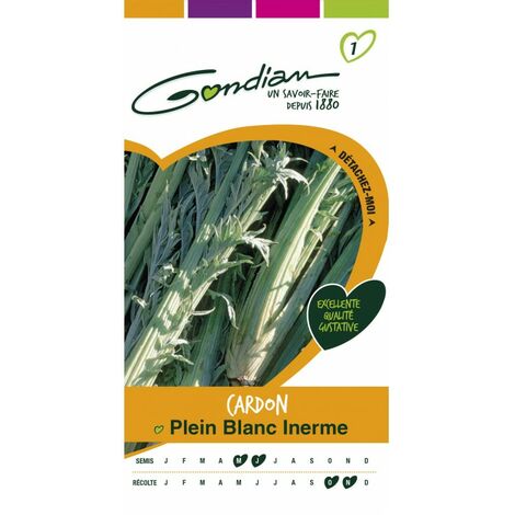 Gondian - Cardon Plein Blanc Inerme (1/3)