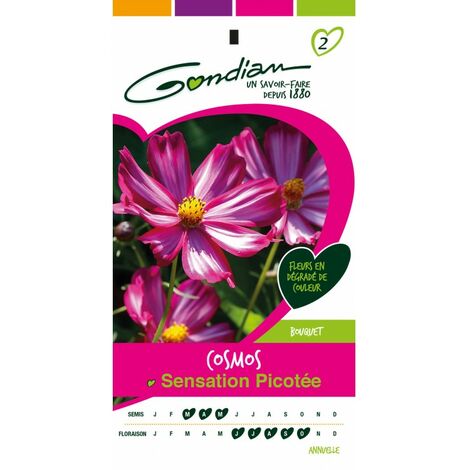 Gondian - Cosmo sensation picotée (1/4)
