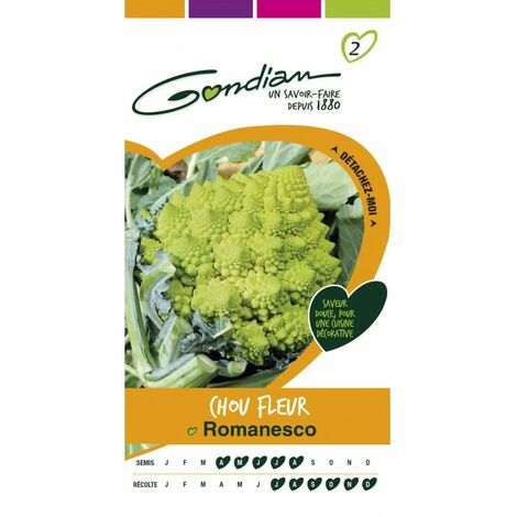 Gondian - Chou Fleur Romanesco (1/3)