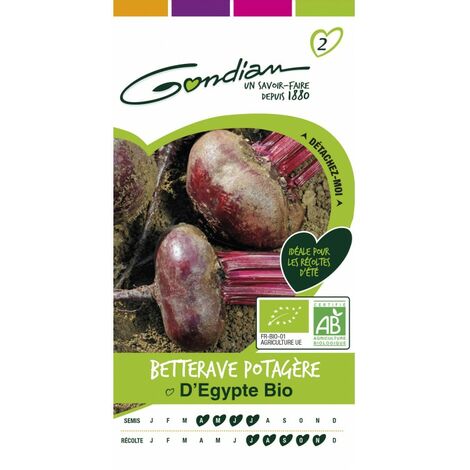 Gondian - betterave potagere d'egypte bio (1/3)