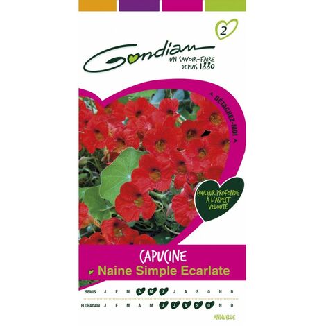Gondian - capucine Naine Simple Escarlate (1/3)