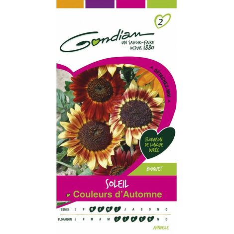 Gondian - Soleil Couleus d'automne (1/3)
