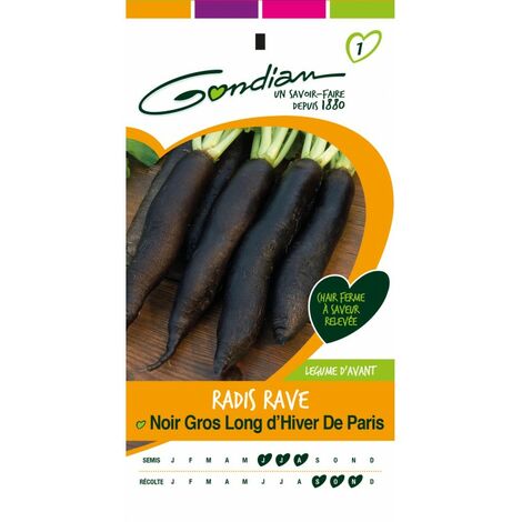 Gondian - Radis Rave Noir Gros Long d'Hiver de Paris
