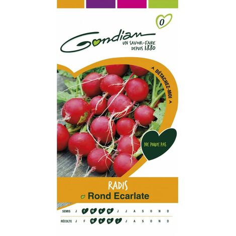 Gondian - Radis rond Ecarlate