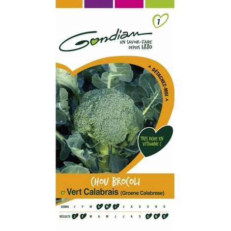 Gondian - Chou Brocoli Vert Calabrais (1/3)