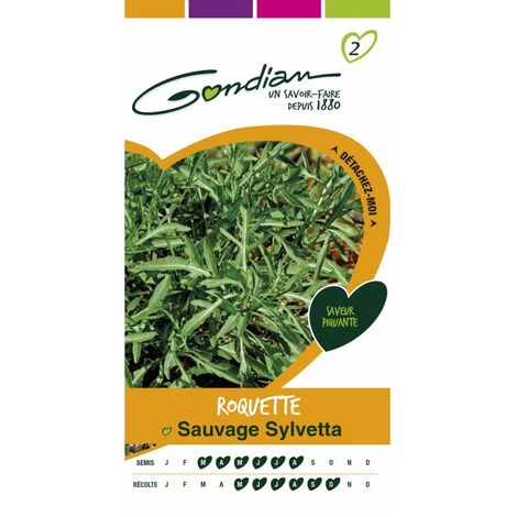 Gondian - Roquette Sauvage Sylvetta (1/3)