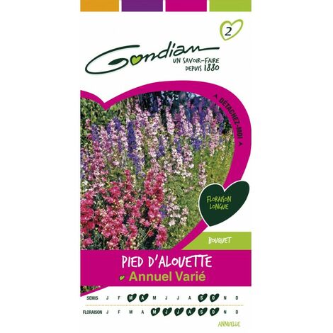 Gondian - Pied d'alouette Annuel varié (1/3)